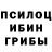 Галлюциногенные грибы Psilocybine cubensis Gerbert