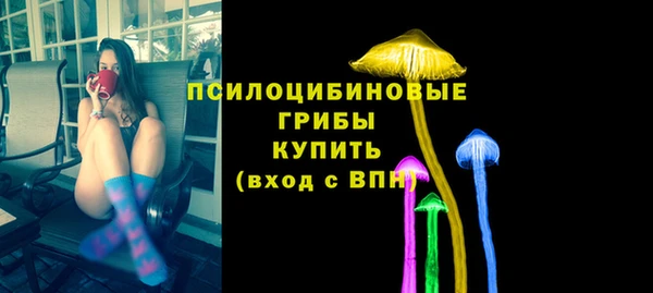 хмурый Вязьма
