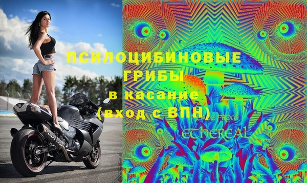 хмурый Вяземский