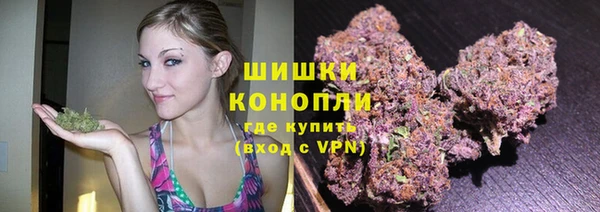 хмурый Вяземский