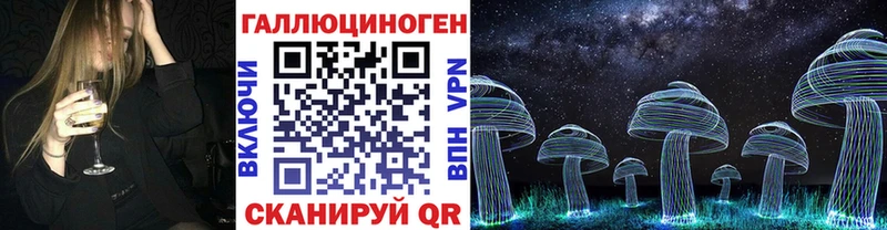 Псилоцибиновые грибы Psilocybe  Брянск 